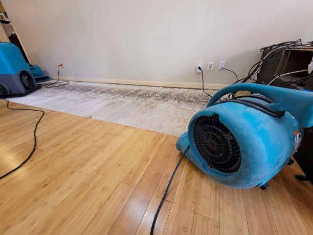 Professional Sewage Cleanup technician working in West New York, NJ